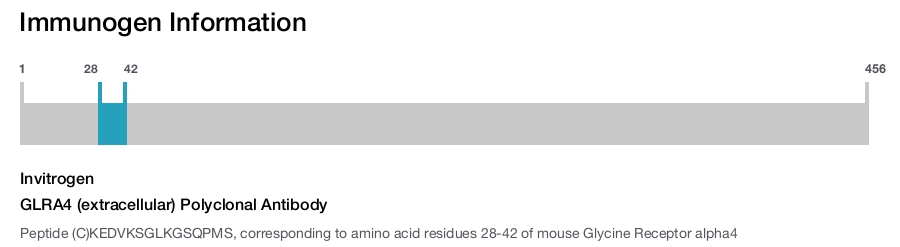GLRA4 (extracellular) Polyclonal Antibody