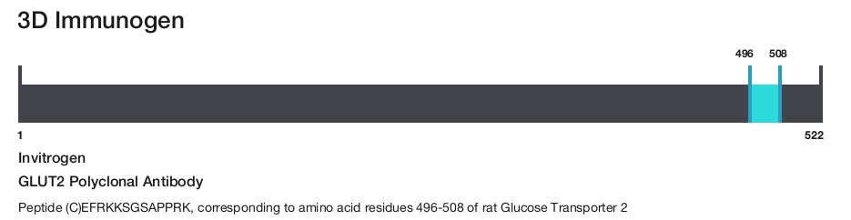 GLUT2 Polyclonal Antibody