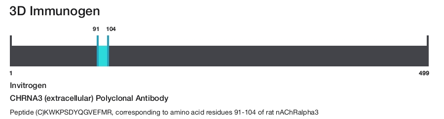CHRNA3 (extracellular) Polyclonal Antibody