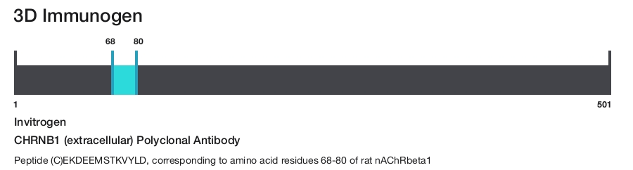 CHRNB1 (extracellular) Polyclonal Antibody