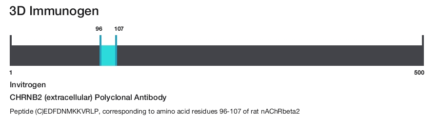 CHRNB2 (extracellular) Polyclonal Antibody
