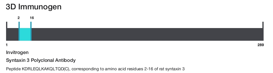 Syntaxin 3 Polyclonal Antibody