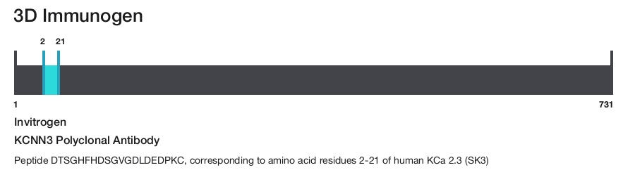 KCNN3 Polyclonal Antibody