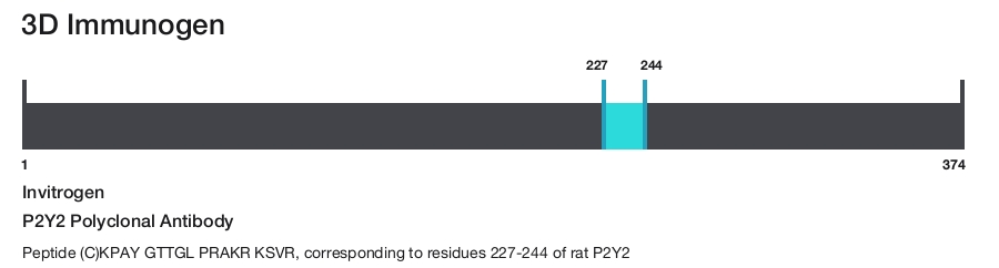 P2Y2 Polyclonal Antibody