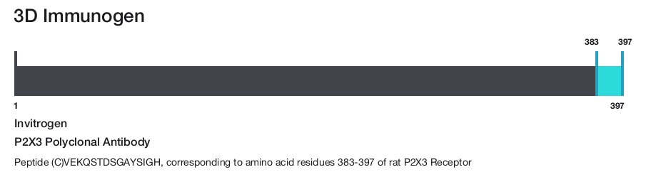P2X3 Polyclonal Antibody