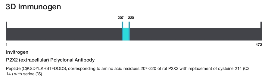 P2X2 (extracellular) Polyclonal Antibody