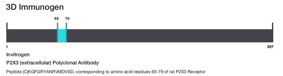 P2X3 (extracellular) Polyclonal Antibody