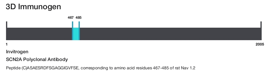 SCN2A Polyclonal Antibody