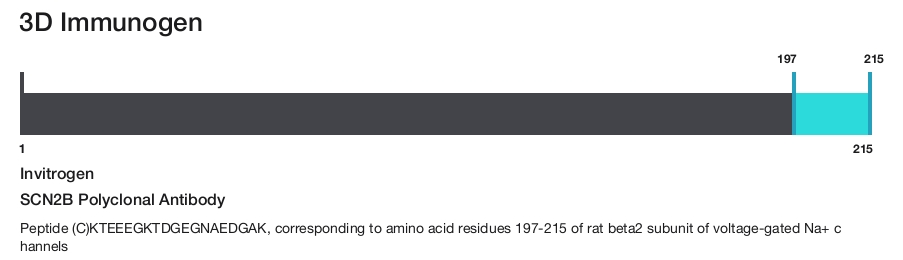 SCN2B Polyclonal Antibody
