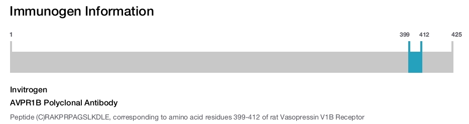 AVPR1B Polyclonal Antibody