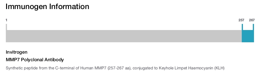MMP7 Polyclonal Antibody