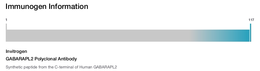 GABARAPL2 Polyclonal Antibody