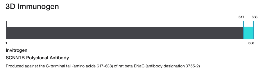 SCNN1B Polyclonal Antibody