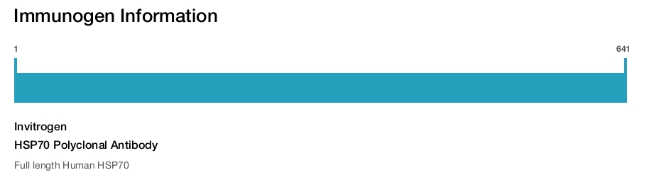 HSP70 Polyclonal Antibody