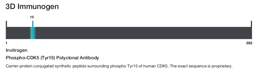 Phospho-CDK5 (Tyr15) Polyclonal Antibody