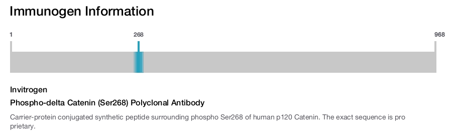 Phospho-delta Catenin (Ser268) Polyclonal Antibody
