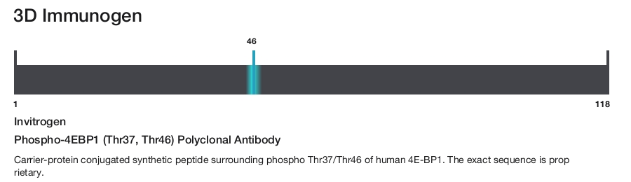 Phospho-4EBP1 (Thr37, Thr46) Polyclonal Antibody