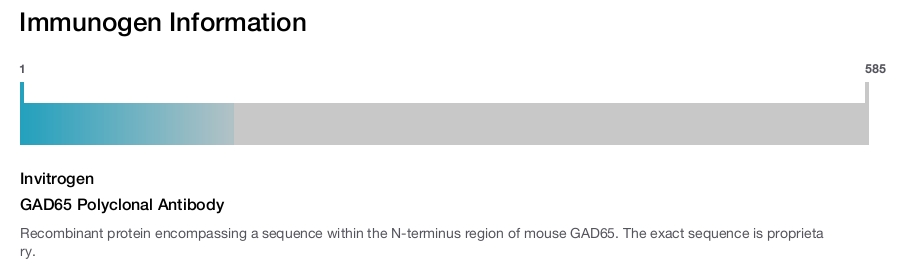 GAD65 Polyclonal Antibody