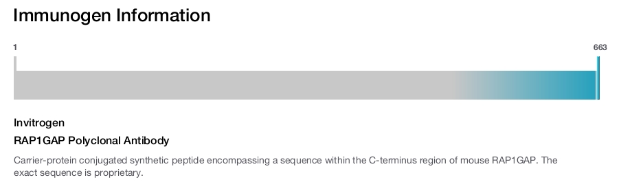RAP1GAP Polyclonal Antibody
