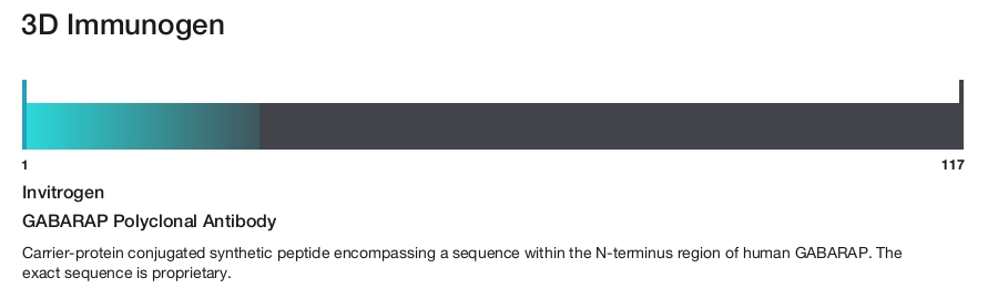 GABARAP Polyclonal Antibody