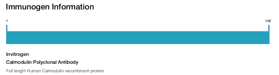 Calmodulin Polyclonal Antibody