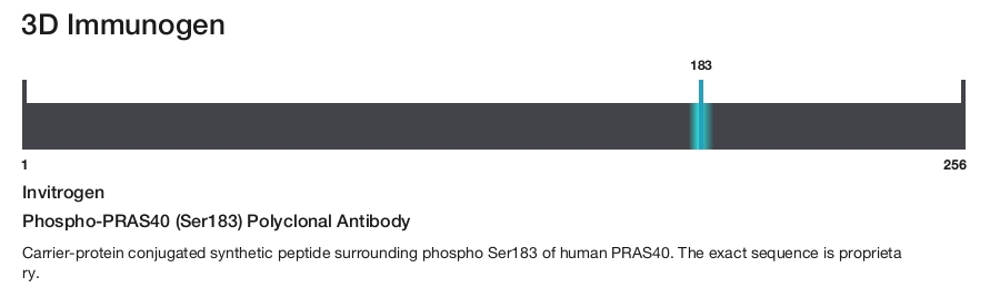 Phospho-PRAS40 (Ser183) Polyclonal Antibody