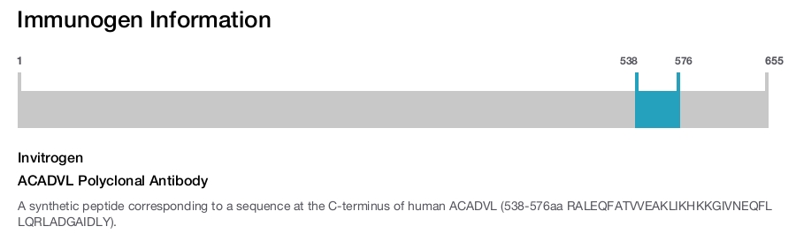 ACADVL Polyclonal Antibody