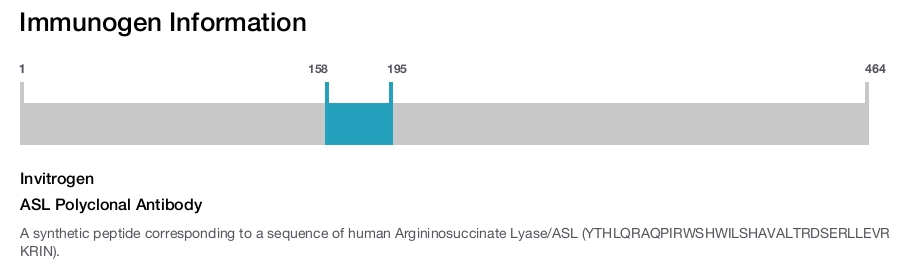 ASL Polyclonal Antibody