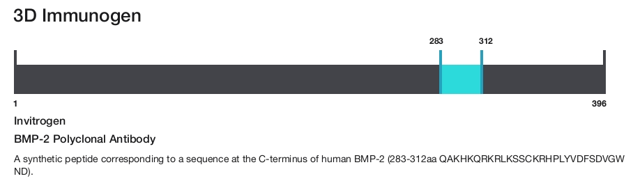 BMP-2 Polyclonal Antibody