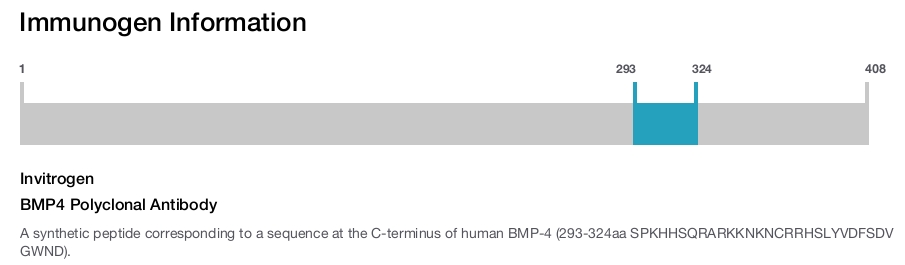BMP4 Polyclonal Antibody