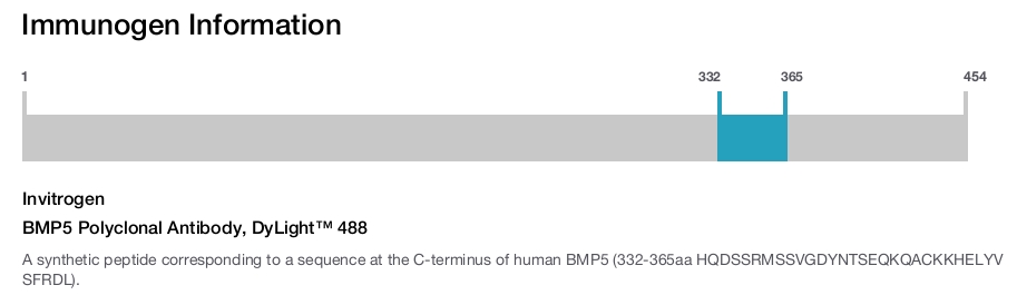 BMP5 Polyclonal Antibody, DyLight&trade; 488