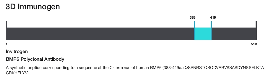 BMP6 Polyclonal Antibody