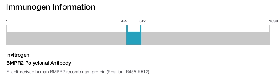 BMPR2 Polyclonal Antibody