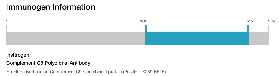 Complement C9 Polyclonal Antibody