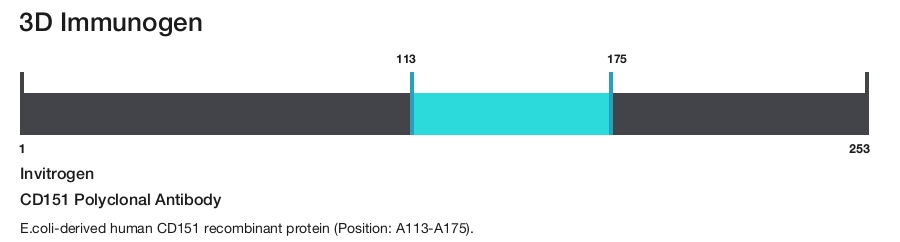 CD151 Polyclonal Antibody