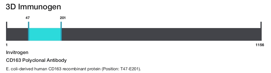CD163 Polyclonal Antibody