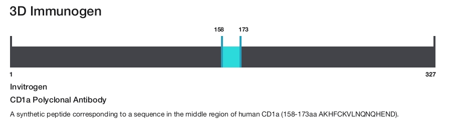 CD1a Polyclonal Antibody