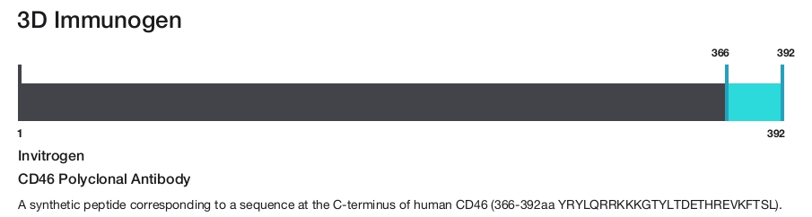 CD46 Polyclonal Antibody