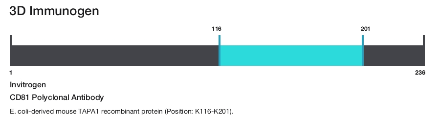 CD81 Polyclonal Antibody