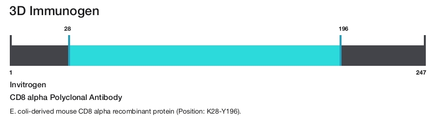 CD8 alpha Polyclonal Antibody