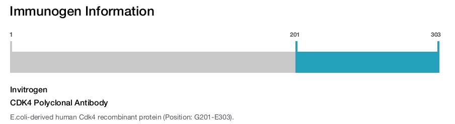 CDK4 Polyclonal Antibody