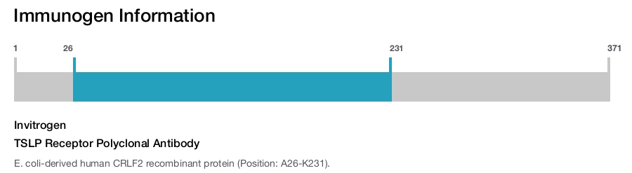 TSLP Receptor Polyclonal Antibody