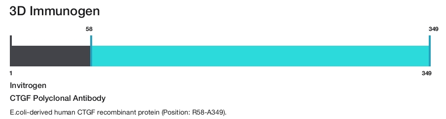 CTGF Polyclonal Antibody