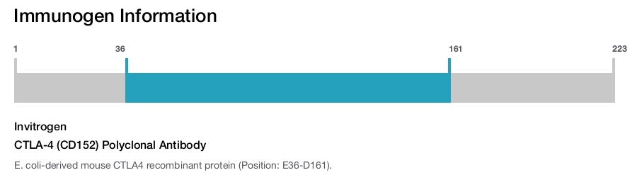 Immunogen Image CTLA-4 (CD152) Polyclonal Antibody