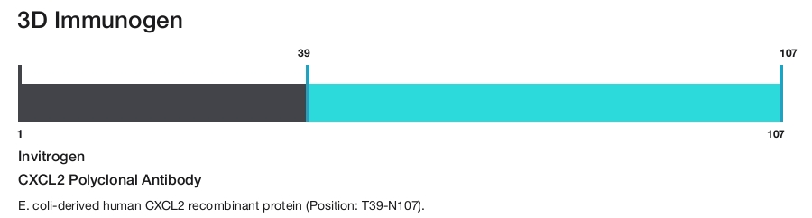 CXCL2 Polyclonal Antibody