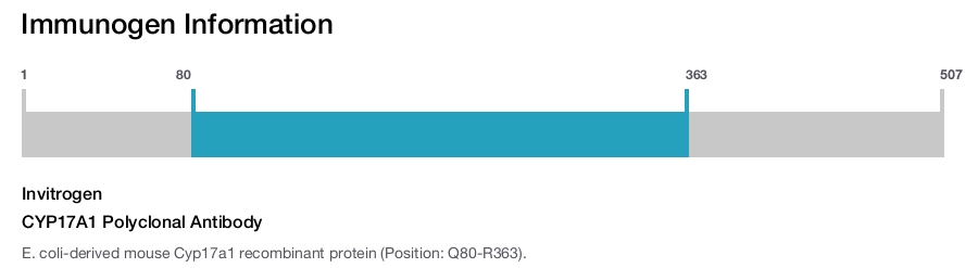 CYP17A1 Polyclonal Antibody