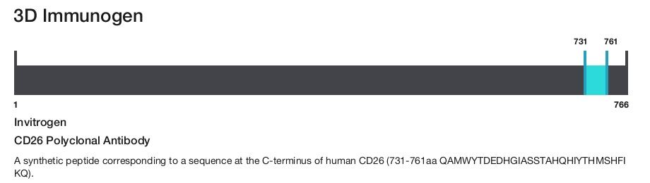 CD26 Polyclonal Antibody