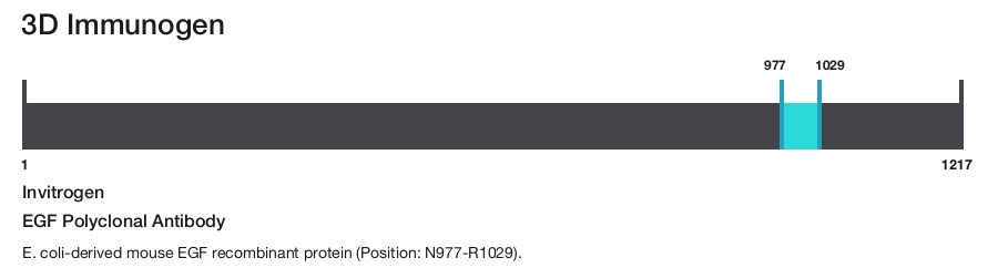 EGF Polyclonal Antibody