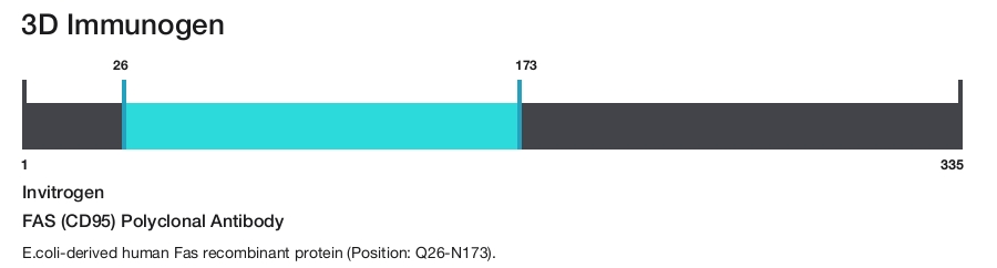 FAS (CD95) Polyclonal Antibody