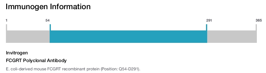FCGRT Polyclonal Antibody